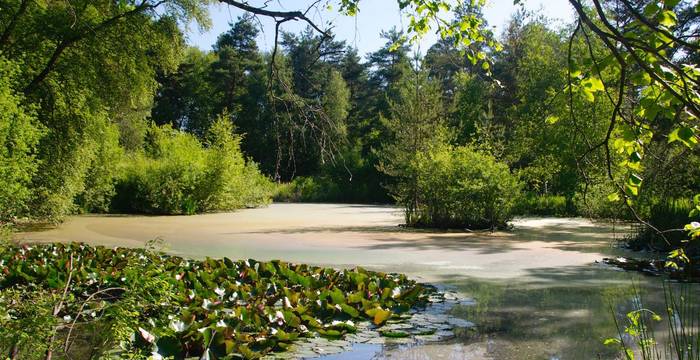 Unsere Naturschutzgebiete | Pro Natura Freiburg